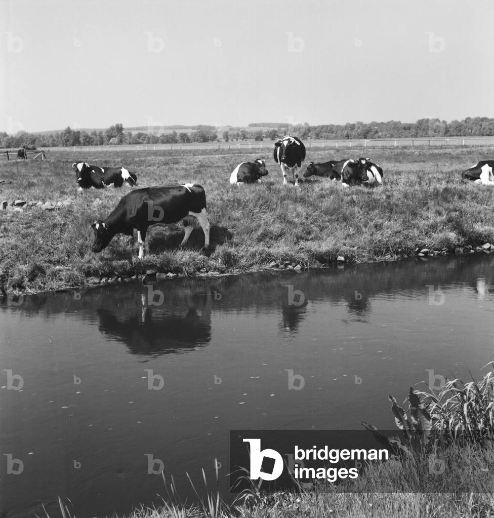 Landscape besides Reichsautobahn highway near Bremen, Germany 1930s (b/w photo)