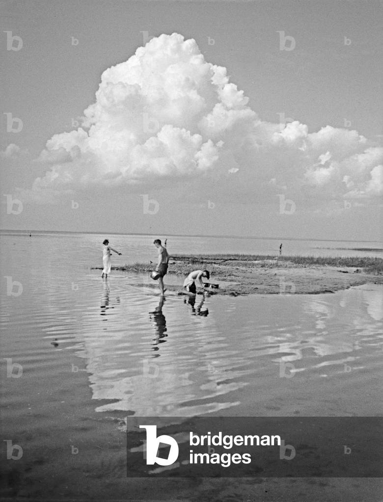 Landscape at Vistula Lagoon, East Prussia, 1930s (b/w photo)