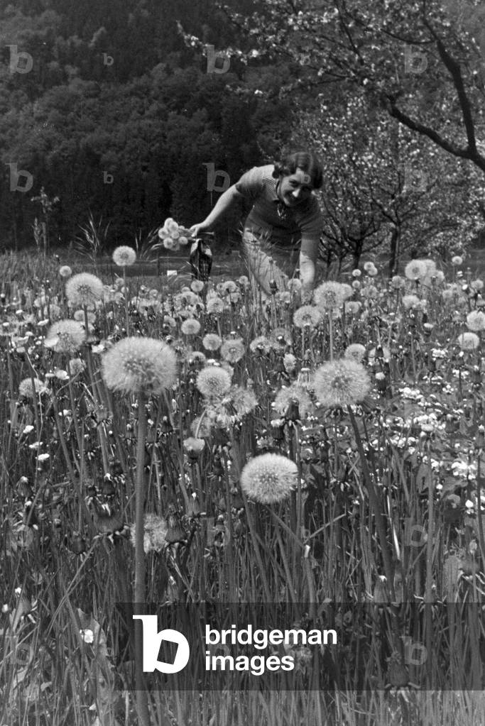 An excursion to the Neckar, Germany 1930s (b/w photo)