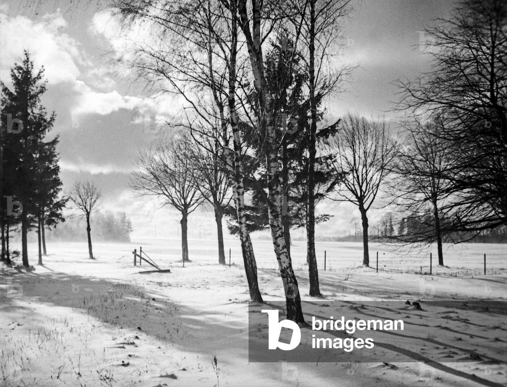 Blizzard in winter in East Prussia, 1930s (b/w photo)
