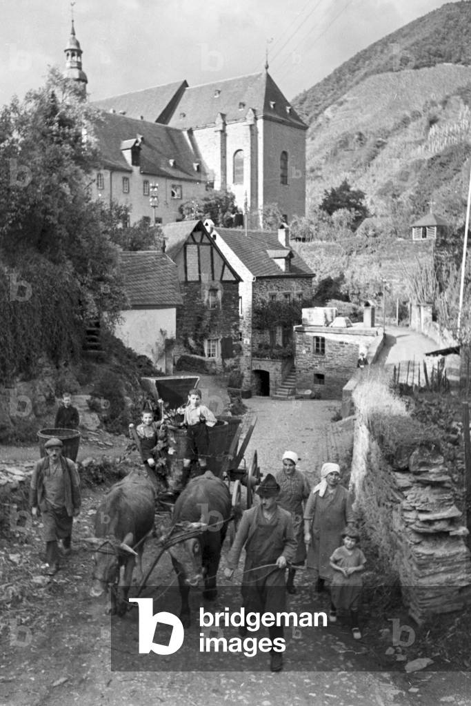 Winegrowers on their way to work, Germany 1930s (b/w photo)