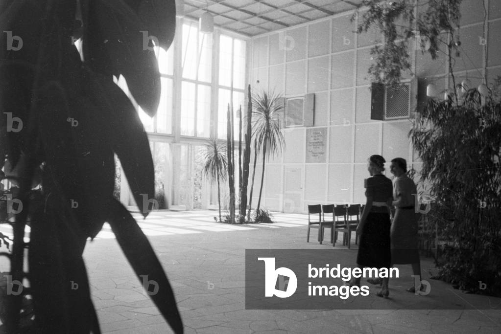 A trip to Bad Mergentheim, Germany 1930s (b/w photo)