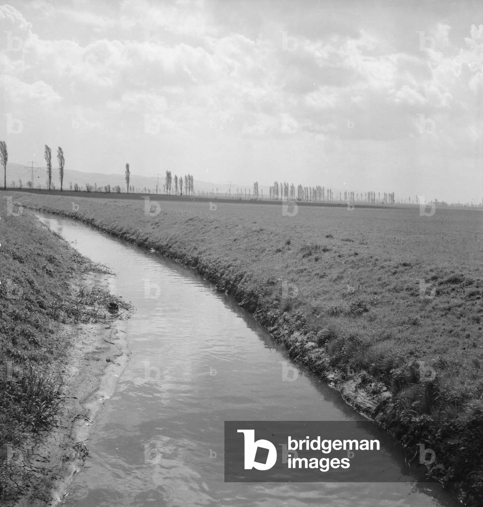 Summer in the countryside, Germany 1930s (b/w photo)