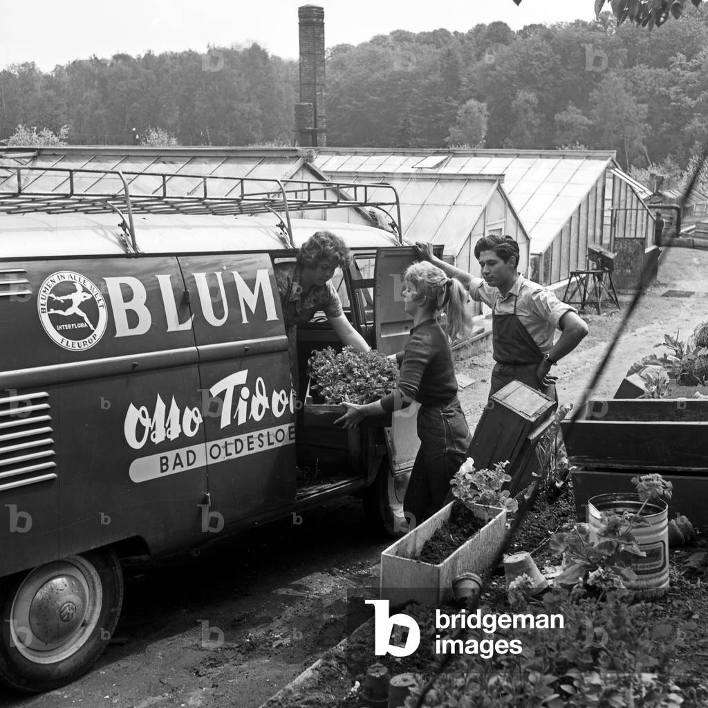 German actress Karin Stoltenfeldt getting a delivery of flowers from Bad Oldeloe, Germany 1950s