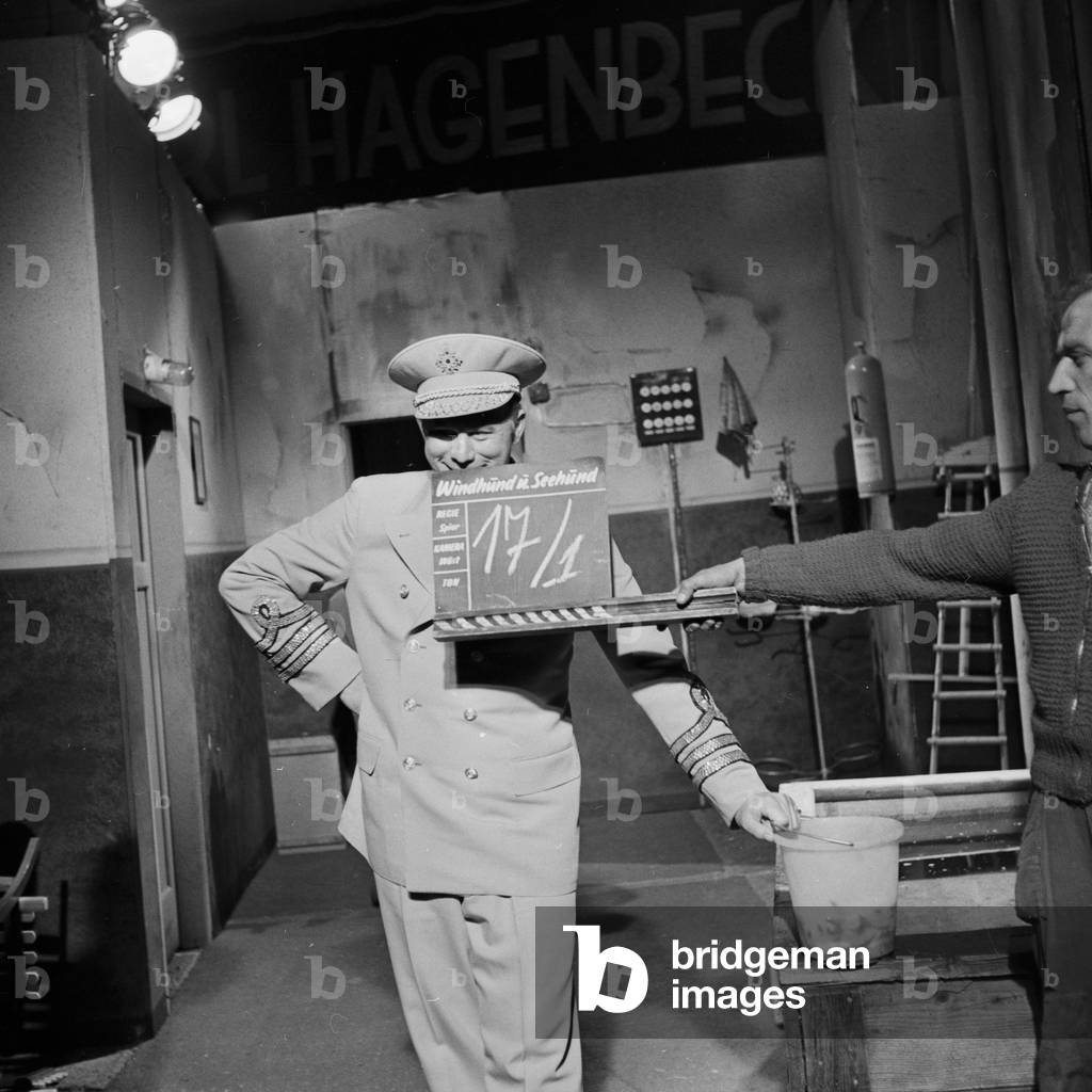 Windhund und Seehund