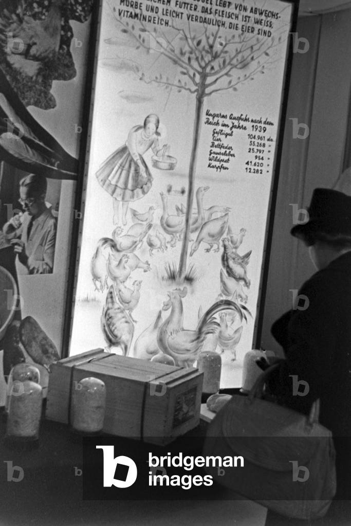 Visitor at the booth of agricultural industry of Hungary at Leipzig trade show, Germany 1940s (b/w photo)