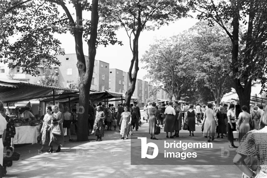 Visitation of the farmer's market near the 