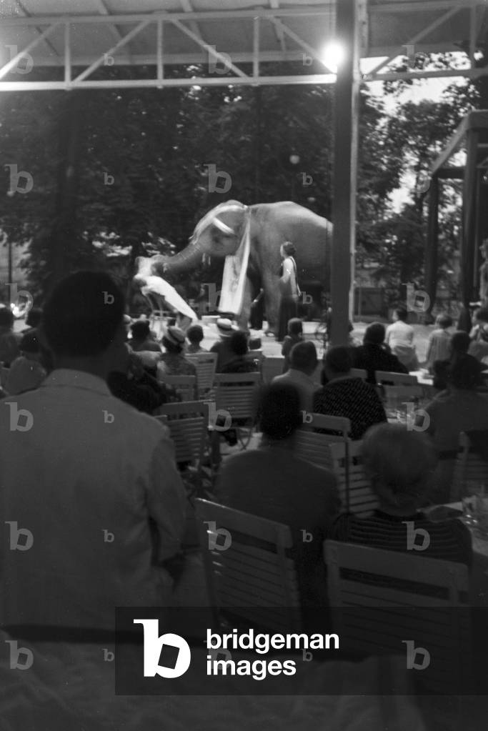 Camping near Marbach at Naab, Germany 1930 (b/w photo)