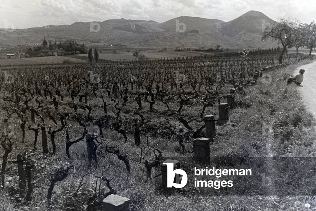 An excursion to the German Wine Route in the Palatinate, Germany 1930s (b/w photo)