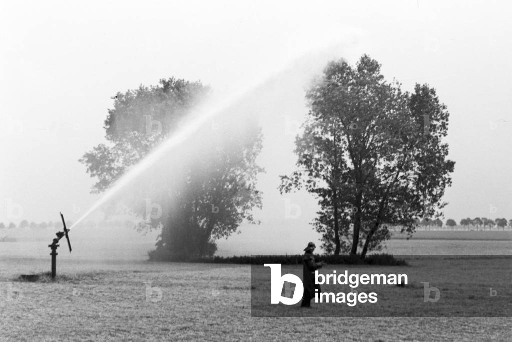 A sprinkler system in its agricultural use at a potato field, Germany 1930s (b/w photo)