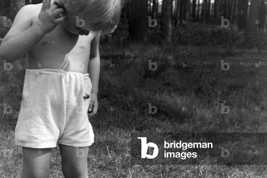 Little boy watching a May beetle, Germany 1930s (b/w photo)