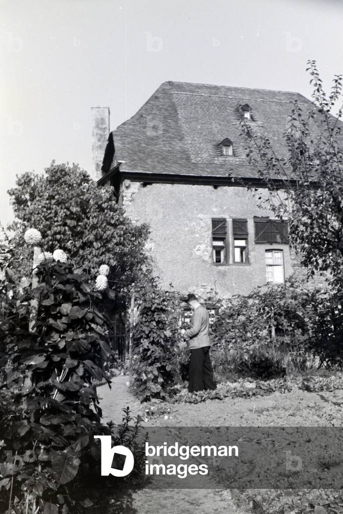 The vegetable garden and vineyard of the Grey House in Winkel am Rhein, Germany 1930s (b/w photo)