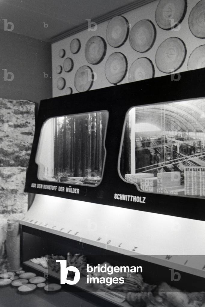 A model with regard to the utilization of the raw material wood on the Leipziger Frühjahrsmesse, Germany 1941 (b/w photo)