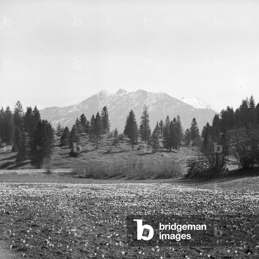 Mountain landscape in spring time, Germany 1930s (b/w photo)