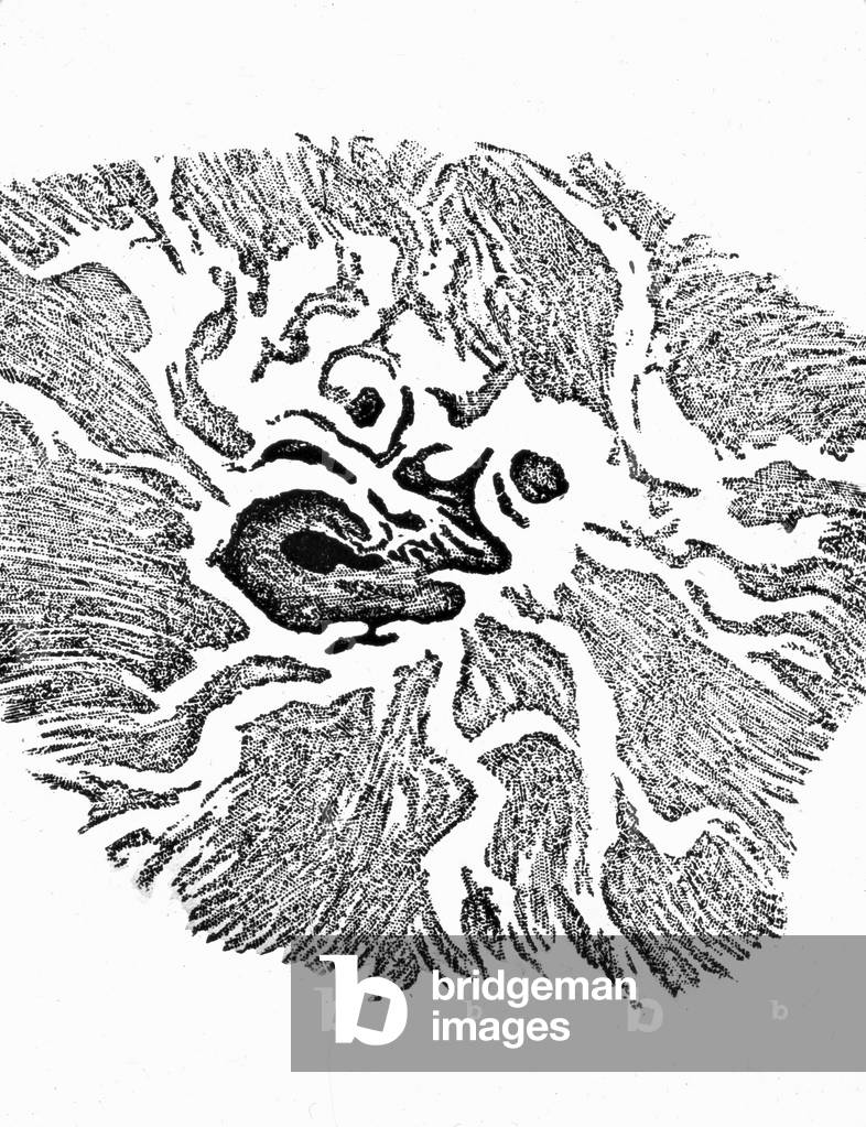 Illustration of a sunspot