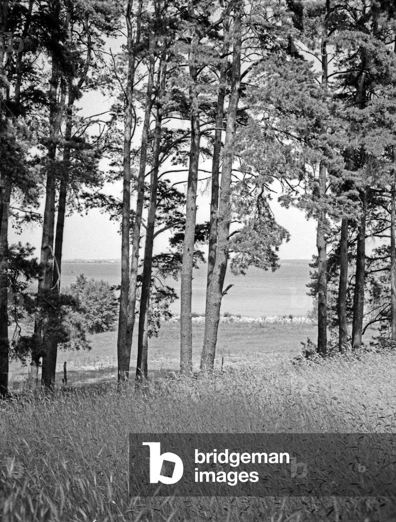 At Saitensee lake in Masuria, East Prussia, 1930s (b/w photo)