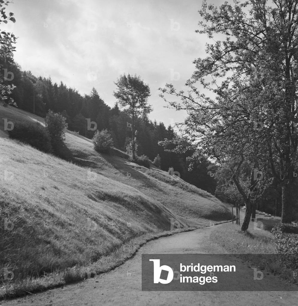 Summer in the Black Forrest, Germany 1930s (b/w photo)