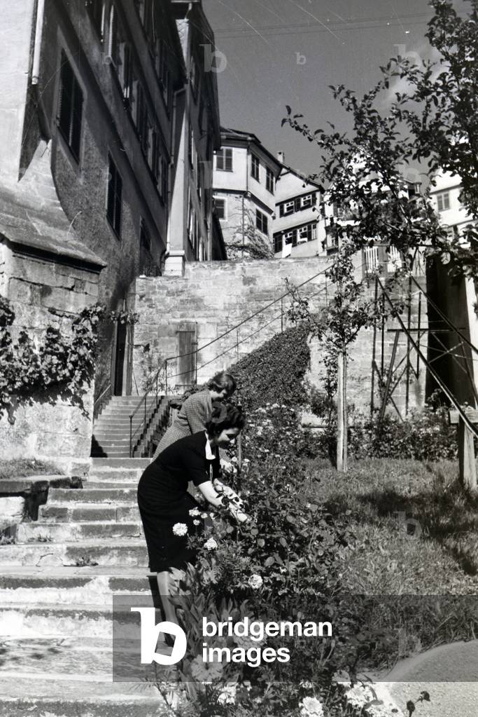The blooming gardens along the Neckarfront in Tübingen are ideal for strolling and dwelling, Germany 1930s (b/w photo)