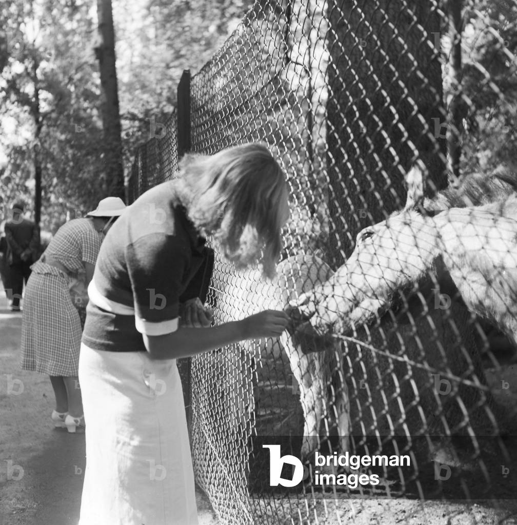 A young woman at the pony compound at Wilhelma zoological garden in Stuttgart, Germany 1930s (b/w photo)