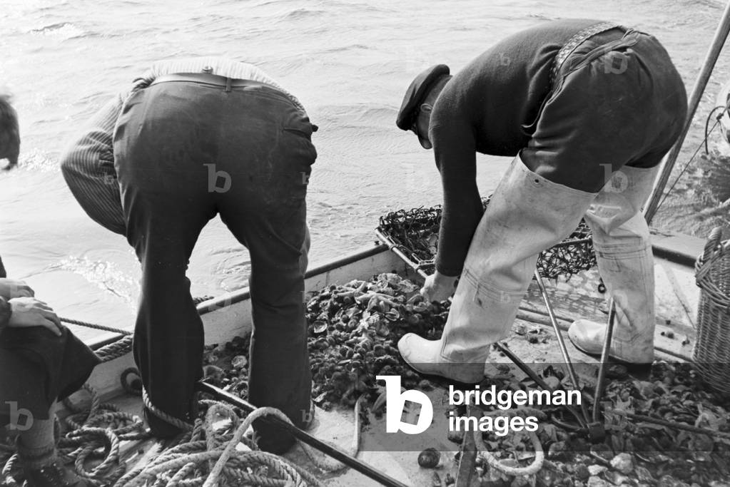 Fishermen at work, Germany 1930s (b/w photo)