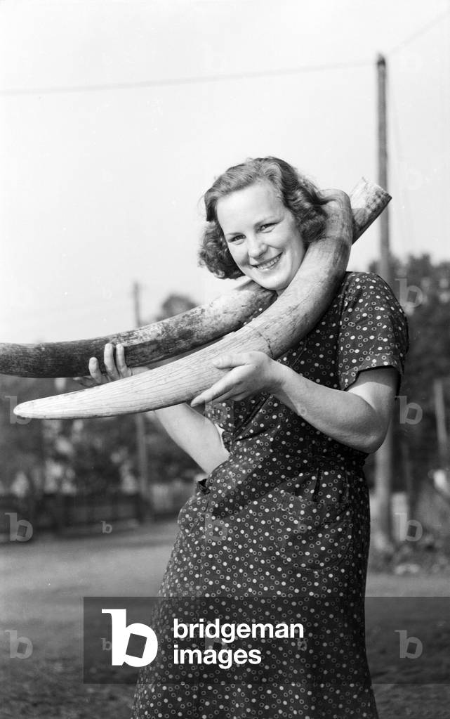 A worker of an ivory processing factory posing with two tusks, Germany 1954