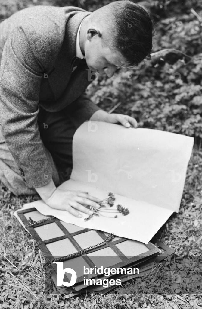 Staff members of a botanical institute in search of plants, after that the plants are processed statistically, Germany 1930s (b/w photo)