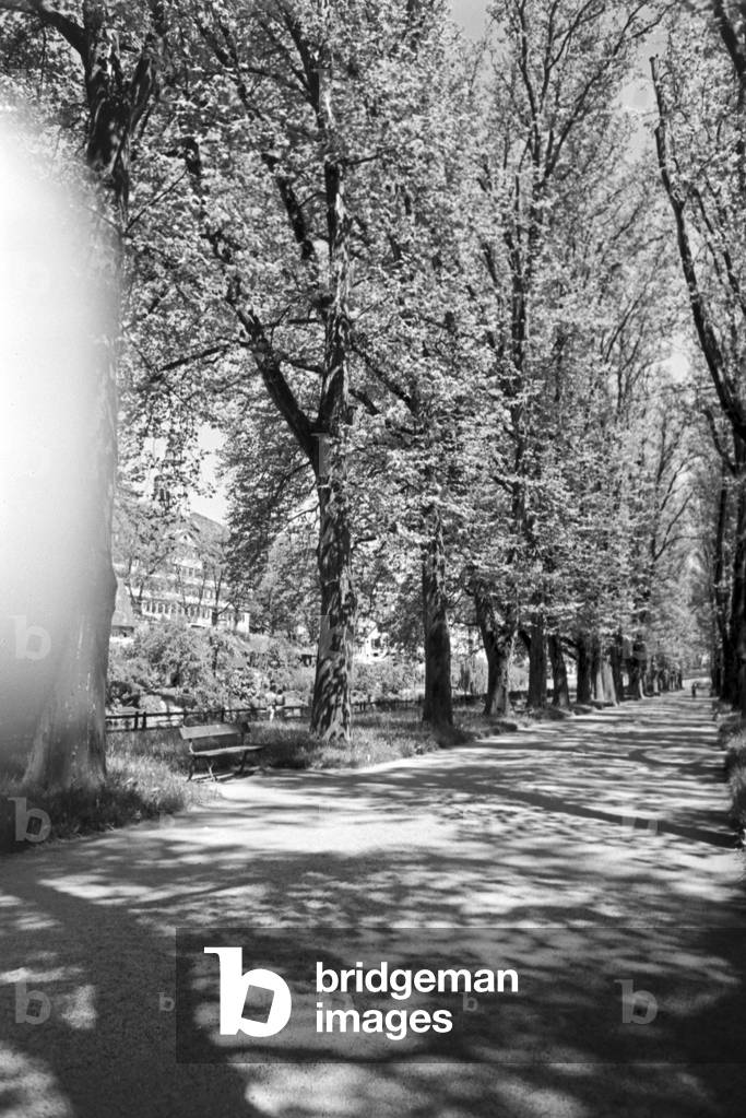 A trip to Tübingen, Germany 1930s (b/w photo)
