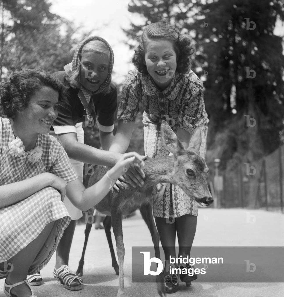 Three young women with a fawn at Wilhelma zoological garden in Stuttgart, Germany 1930s (b/w photo)