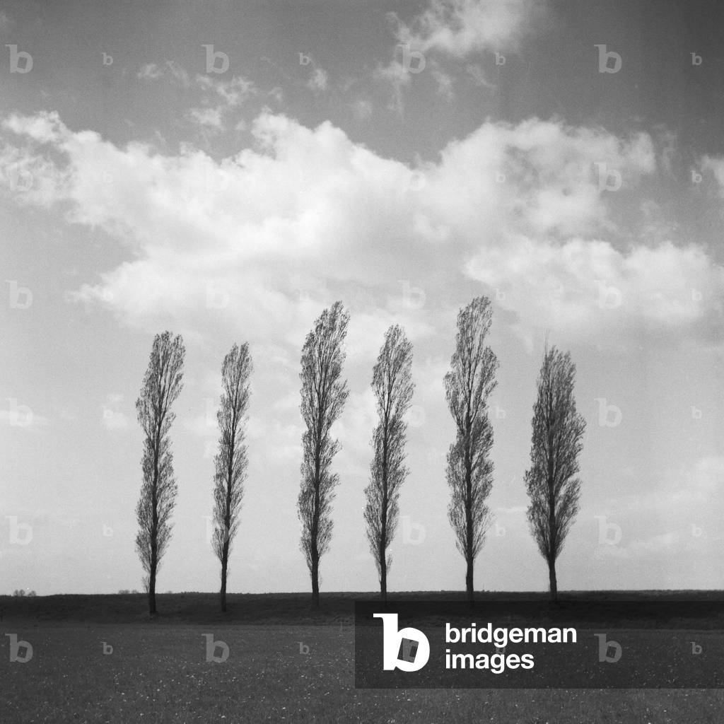 Scenic landscape around Heidelberg, Germany 1930s (b/w photo)