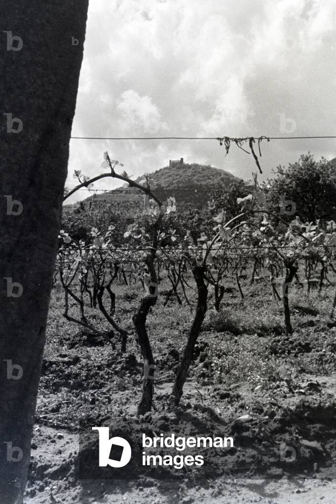 An excursion to the Wine Route in the Palatinate, Germany 1930s (b/w photo)
