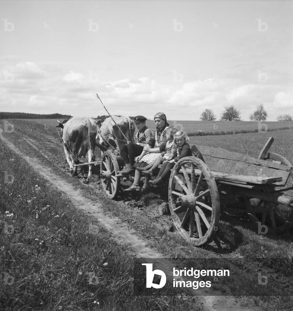 On the way through German landscape and small town, Germany 1930s (b/w photo)
