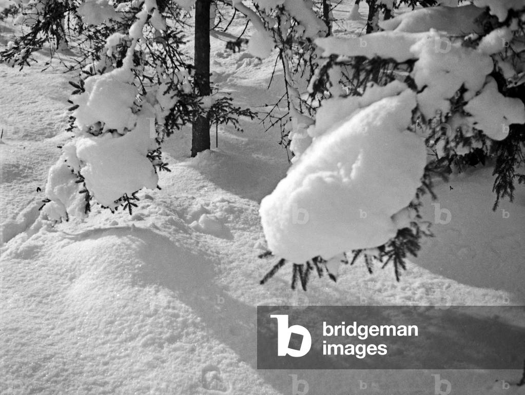 Wintertime landscape at East Prussia, 1930s (b/w photo)