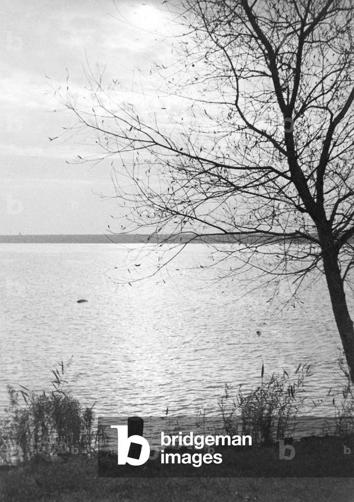 Lake with a shore, Germany 1930s (b/w photo)