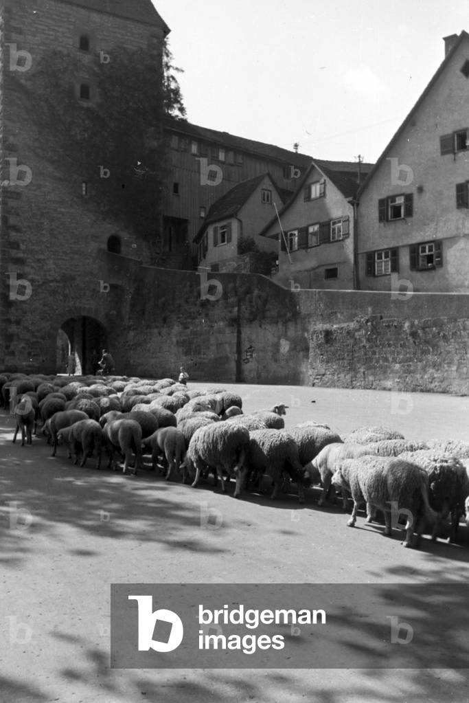 A trip to Stuttgart, Germany 1930s (b/w photo)