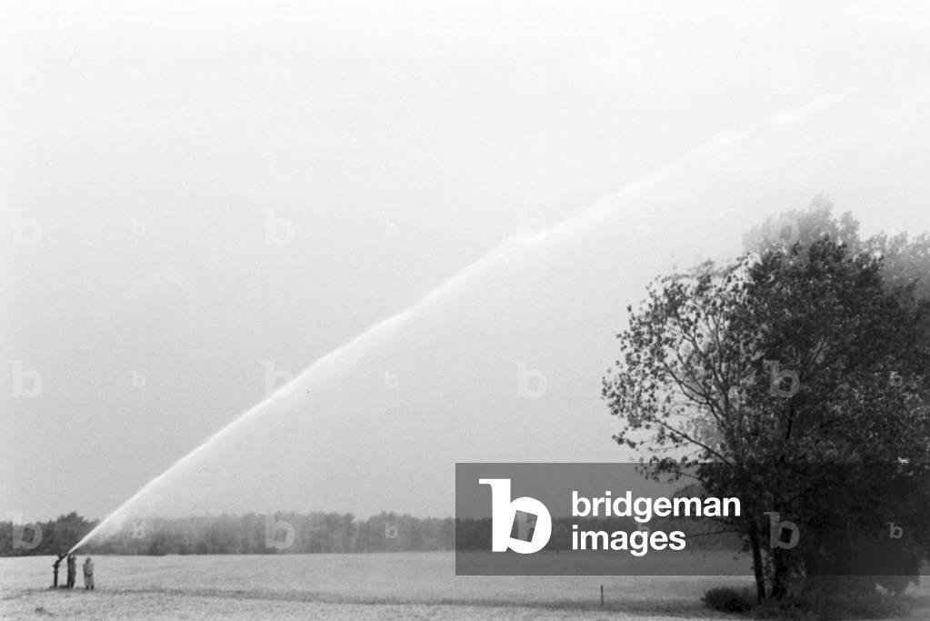 A sprinkler system in its agricultural use at a potato field, Germany 1930s (b/w photo)