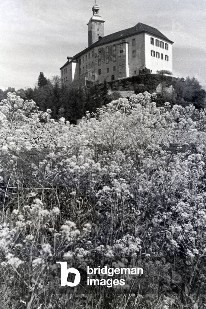 An excursion to Gundelsheim, Germany 1930s (b/w photo)