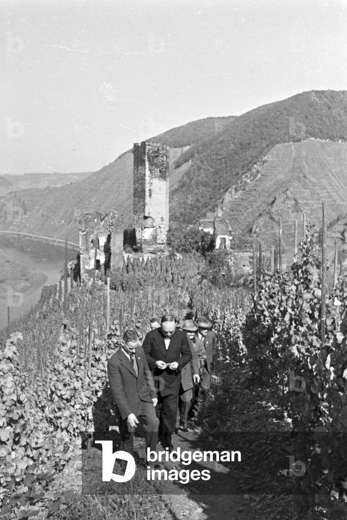 Winegrower at work in hnis vineyard near Beilstein, Germany 1930s (b/w photo)