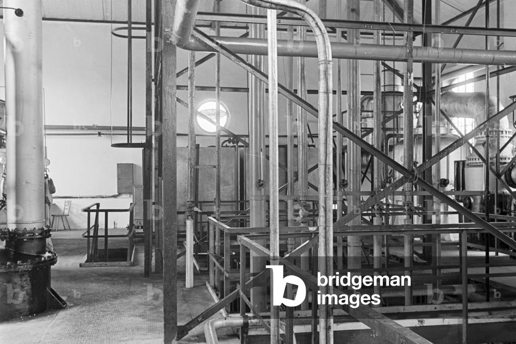 A guided Tour (b/w photo)