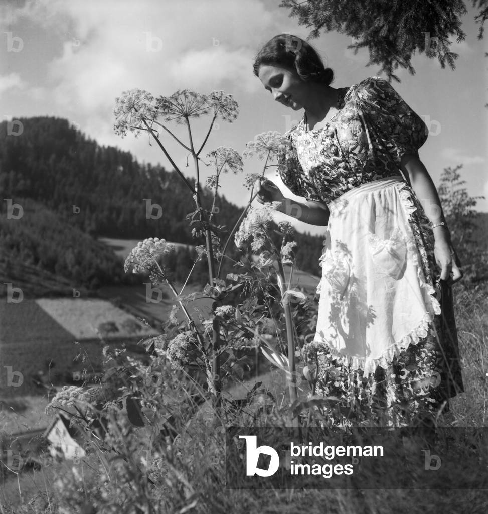 A trip to Bad Rippoldsau Schapbach, Germany 1930s (b/w photo)