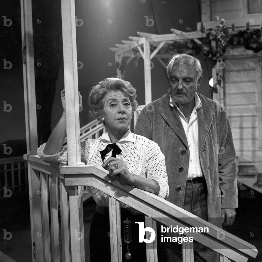 When the young wine blooms