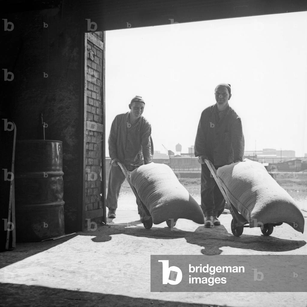 Two warehousemen moving a heavy sack with Their barrows into a warehouse, Germany 1930s (b/w photo)