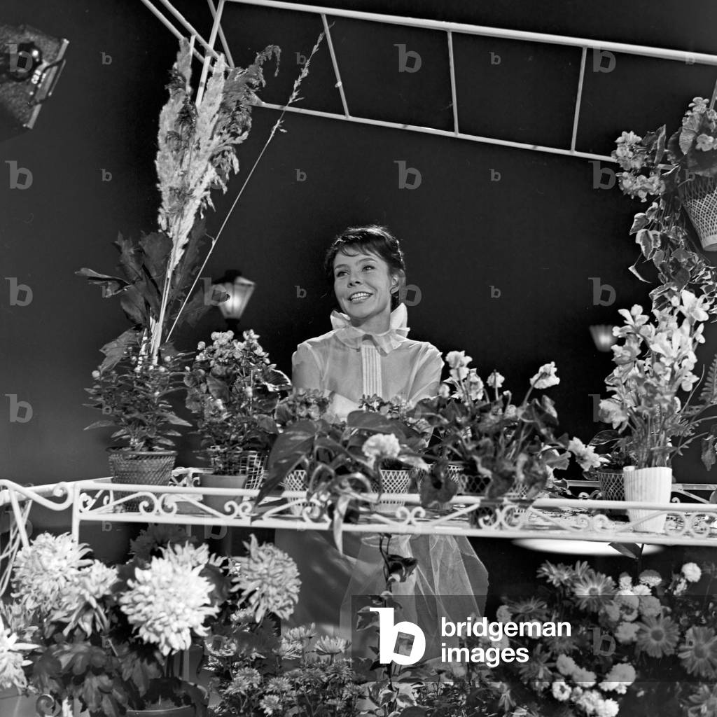 Music and Information