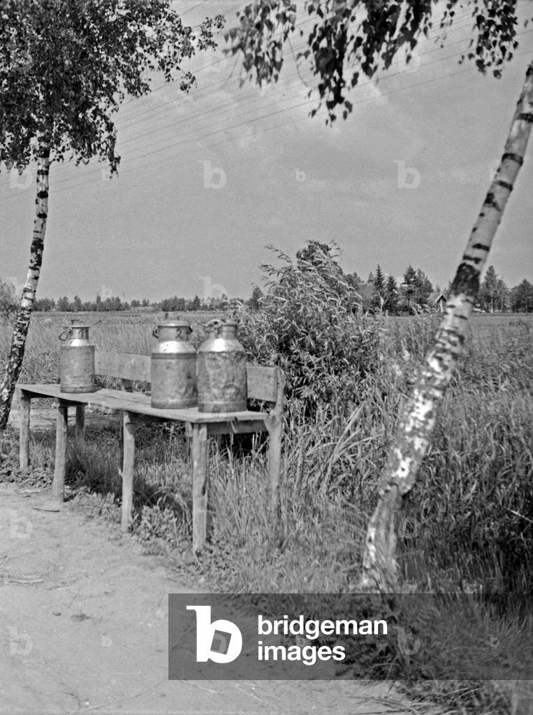 Milk churns on a bench at the street to Grosses Moosbruch moorland, East Prussia, 1930s (b/w photo)