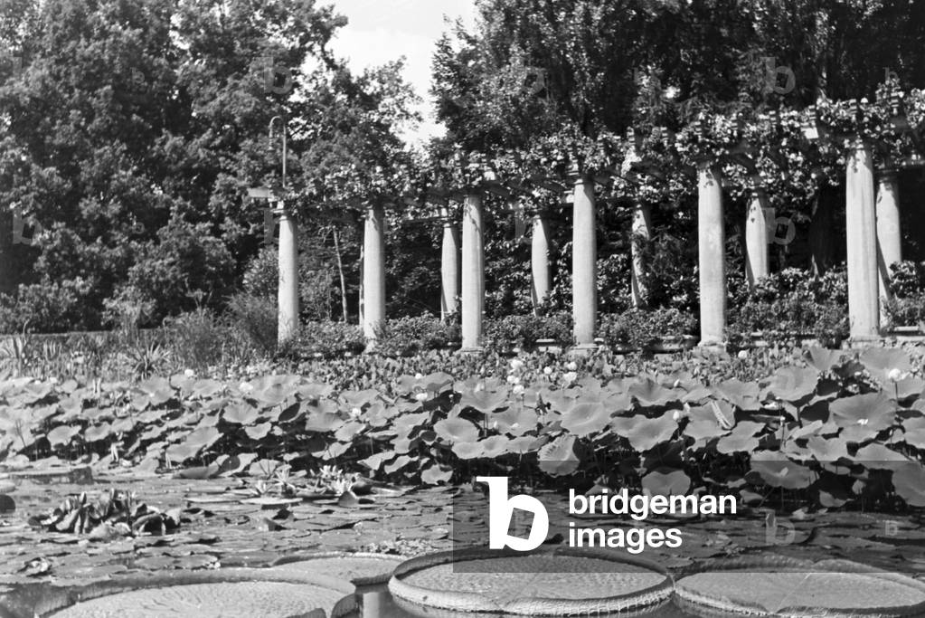 A trip to Liegnitz, Germany 1930s (b/w photo)