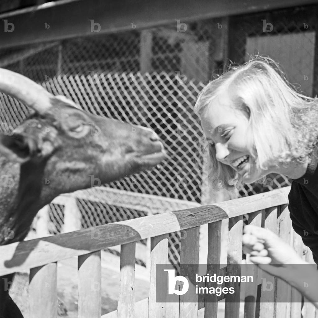 A young woman at the goat compound at Wilhelma zoological garden in Stuttgart, Germany 1930s (b/w photo)