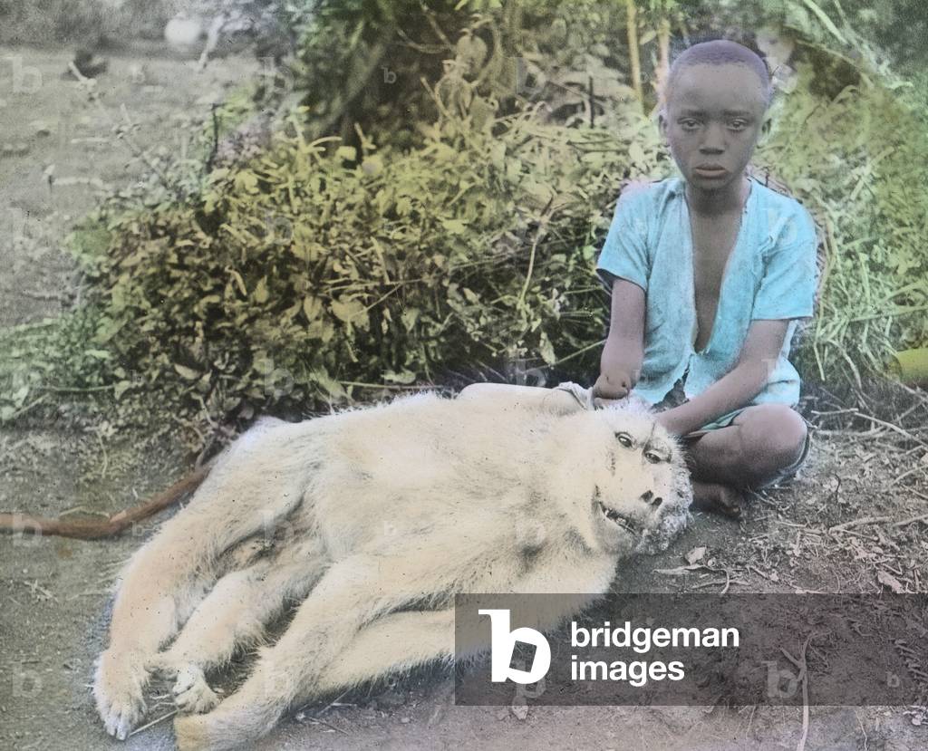 German East Africa colony. Boy with Old world monkey. Image date: circa 1905. Carl Simon Archive