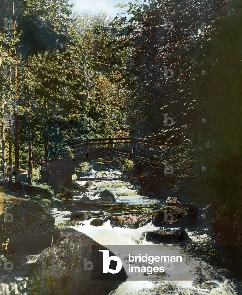 Inside the Oker valley in the Harz region
