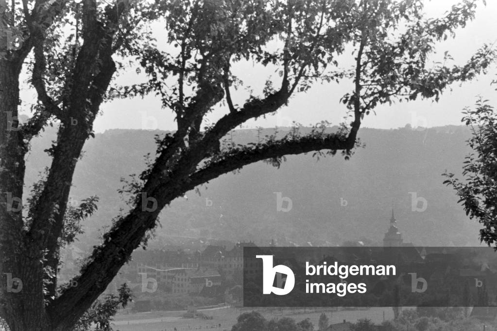 A roadtrip through Baden-Württemberg, Germany 1930s (b/w photo)