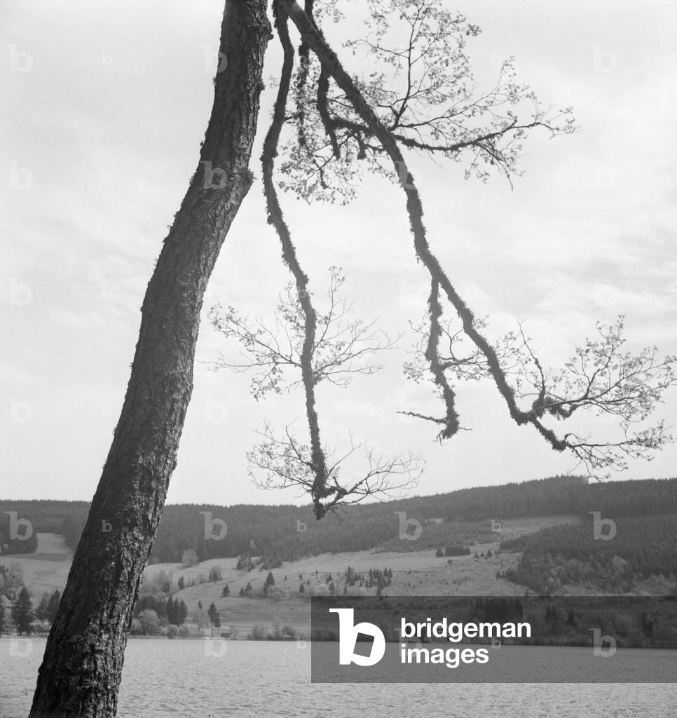 A trip to the Southern Black Forest, Germany 1930s (b/w photo)