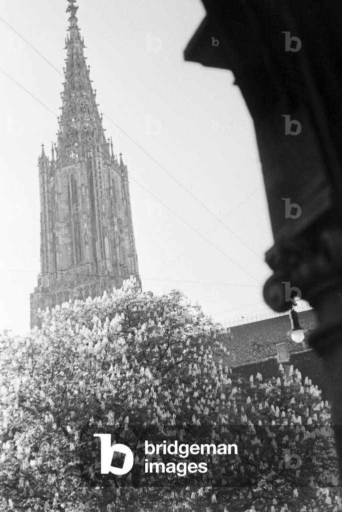 A trip to Ulm, Germany 1930s (b/w photo)
